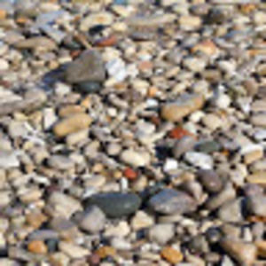 Meet your Posher, Liz